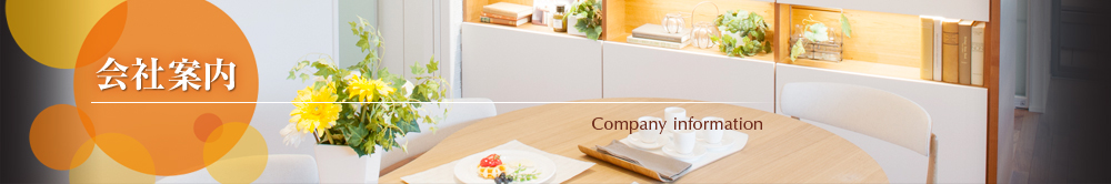 Ұ⡡Company information